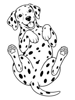 A cheerful dalmatian coloring page featuring a puppy lying on its back with paws up.