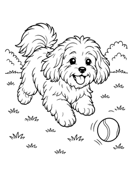 Free printable Playful Havanese Puppy With Ball coloring page