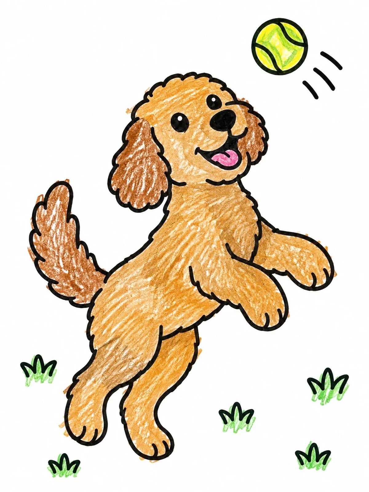 Colored example of the Playful Labradoodle Catching A Ball coloring page