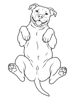 Free printable Playful Pitbull On Its Back coloring page