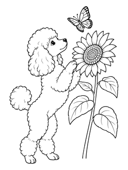 A sweet poodle coloring page featuring a pup standing by a tall sunflower watching a butterfly.