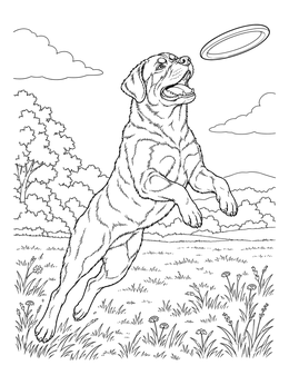 Free printable Playful Rottweiler Catching A Flying Disc coloring page