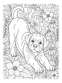 Free printable Playful Rottweiler Puppy In Garden coloring page