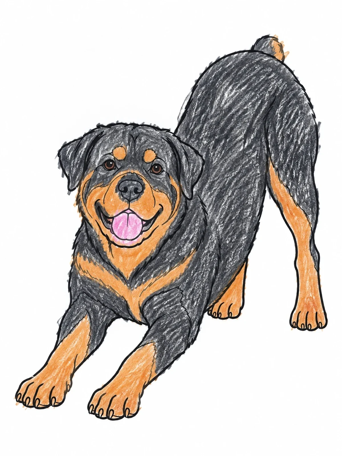 Colored example of the Playful Rottweiler Stretching In Play Bow coloring page
