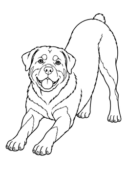 Free printable Playful Rottweiler Stretching In Play Bow coloring page