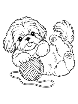 Free printable Playful Shih Tzu Puppy With Yarn coloring page