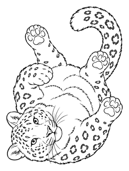 Free printable Playful Snow Leopard Rolling On Back coloring page