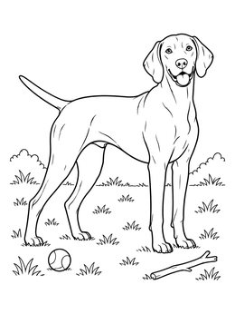Free printable Playful Vizsla Dog In Field coloring page