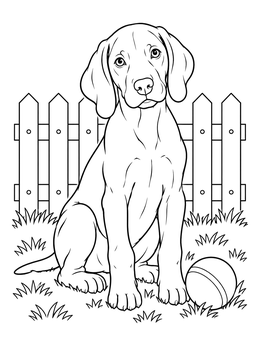 Free printable Playful Weimaraner Puppy In The Yard coloring page