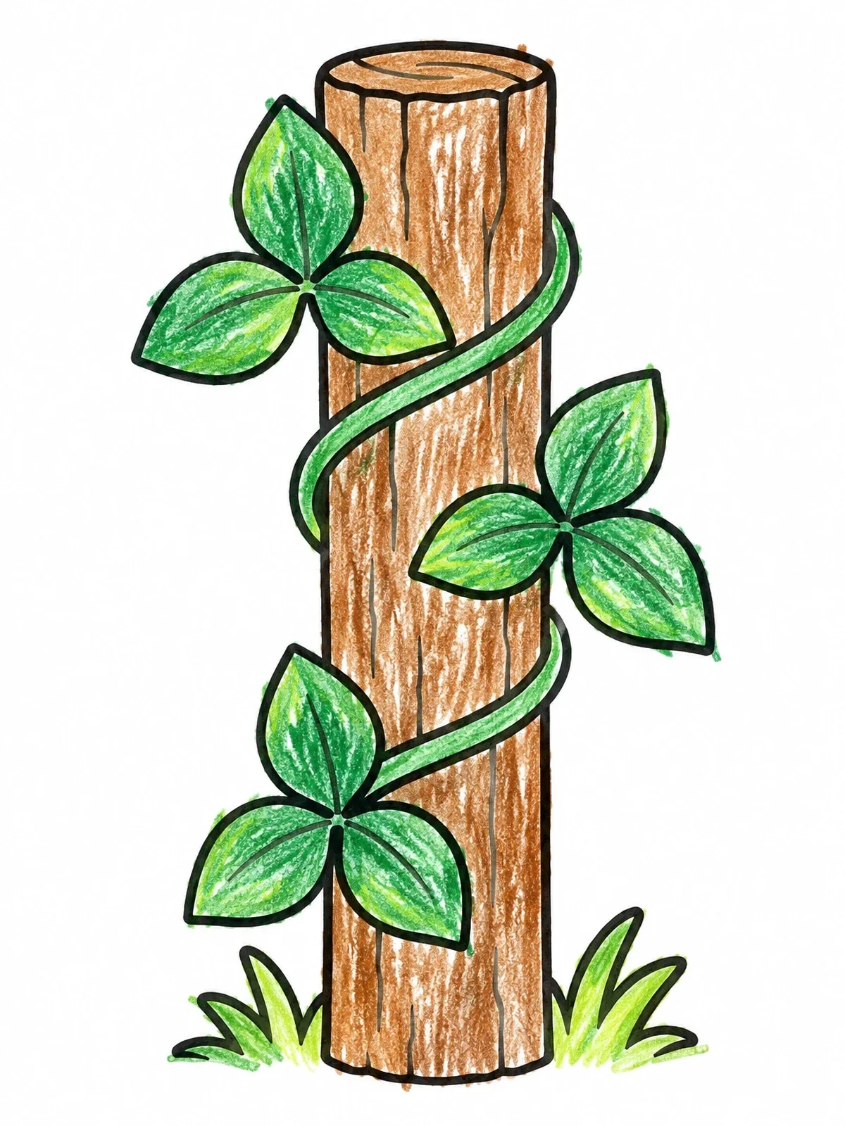 Colored example of the Poison Ivy Vine On Wooden Post coloring page
