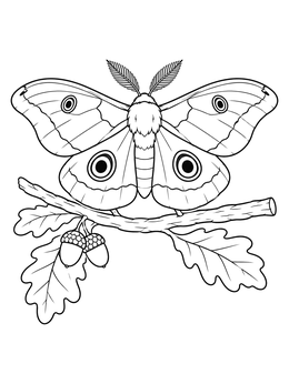 A detailed moth coloring page featuring a large moth perched on an oak branch with acorns.