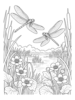 Two detailed dragonflies glide above reeds in this realistic ponds coloring page.