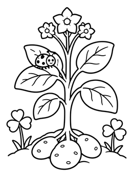 Free printable Potato Plant With Friendly Ladybug coloring page
