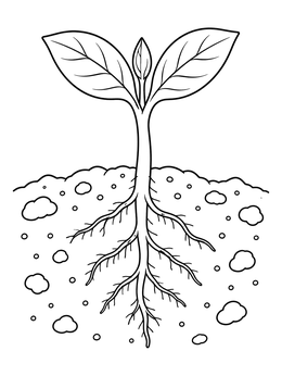 Free printable Young Sprout With Underground Roots coloring page
