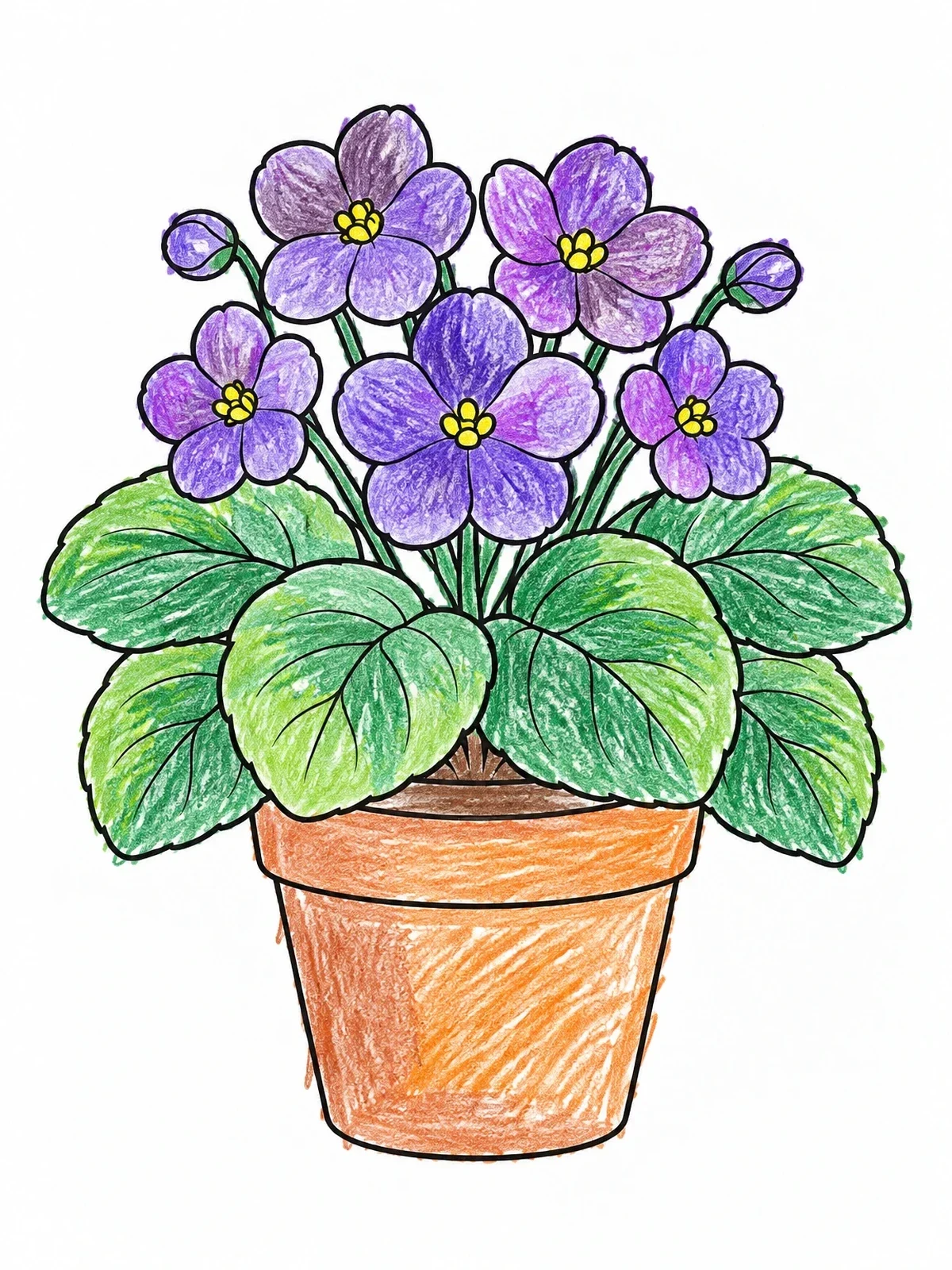 Colored example of the Potted African Violet In Bloom coloring page