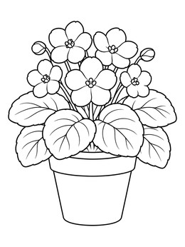 Free printable Potted African Violet In Bloom coloring page