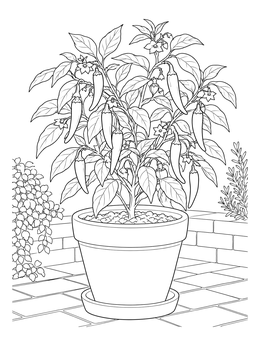A potted chili peppers coloring page featuring ripening peppers on a patio.