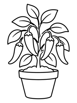 Free printable Potted Chili Pepper Plant coloring page