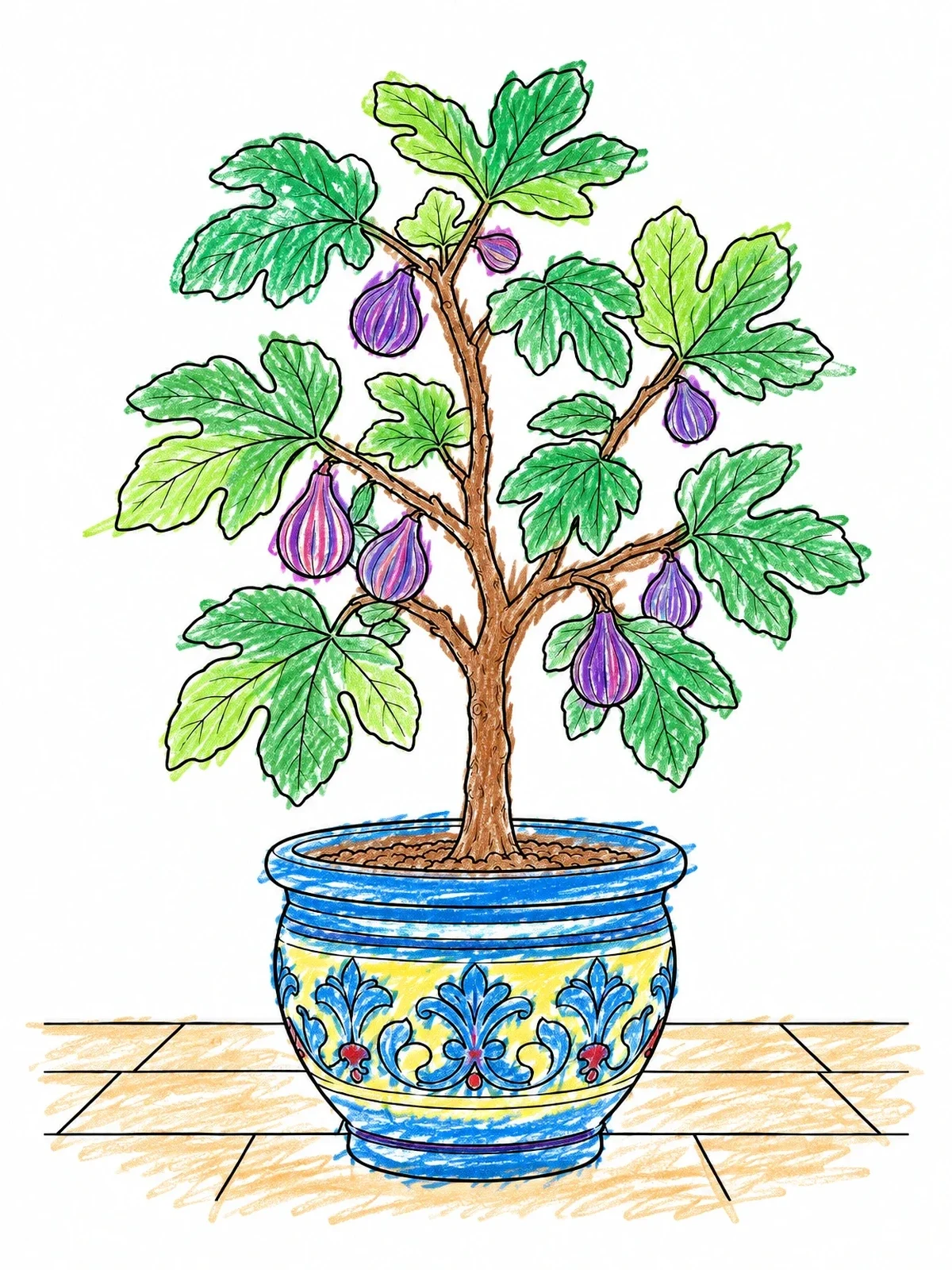 Colored example of the Potted Fig Tree With Ripe Fruit coloring page