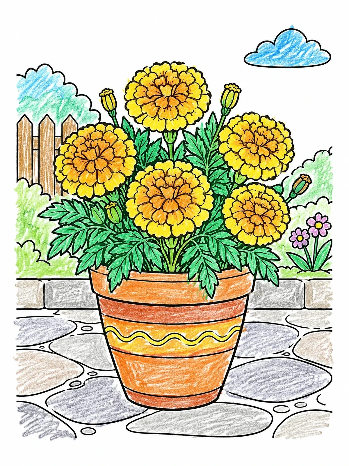 Colored example of the Potted Marigold Blossoms In The Garden coloring page