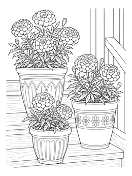 Decorated pots with blossoms in this marigold flower coloring page on wooden steps.