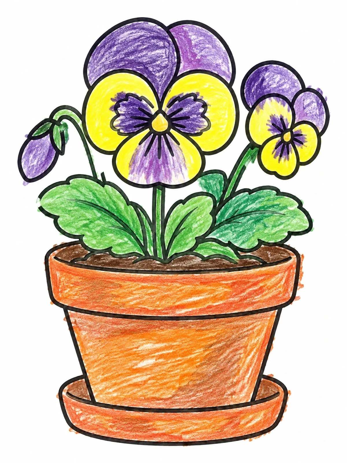 Colored example of the Potted Pansy Flower With Saucer coloring page
