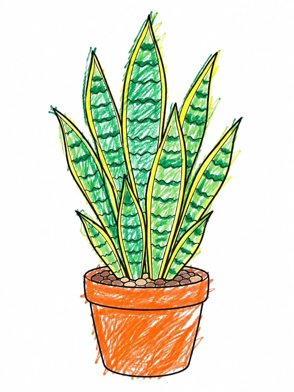 Colored example of the Potted Snake Plant Line Art coloring page