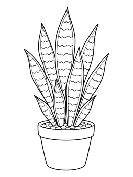 A potted snake plant coloring page featuring patterned upright leaves.