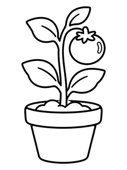 A potted tomato plant with a ripe fruit on this tomato coloring page.
