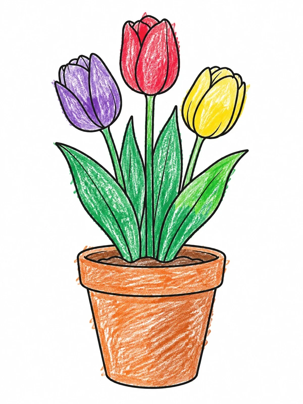 Colored example of the Potted Tulips In Full Bloom coloring page