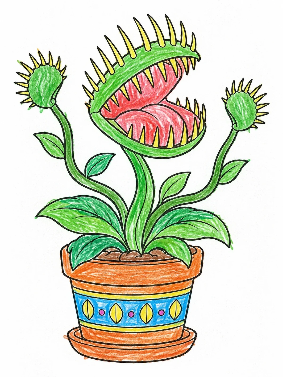 Colored example of the Potted Venus Flytrap Plant coloring page