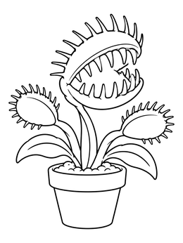 A potted plant features in this venus flytrap coloring page with open spiky leaves.