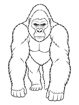 A detailed gorilla coloring page showing a silverback walking forward on all fours.