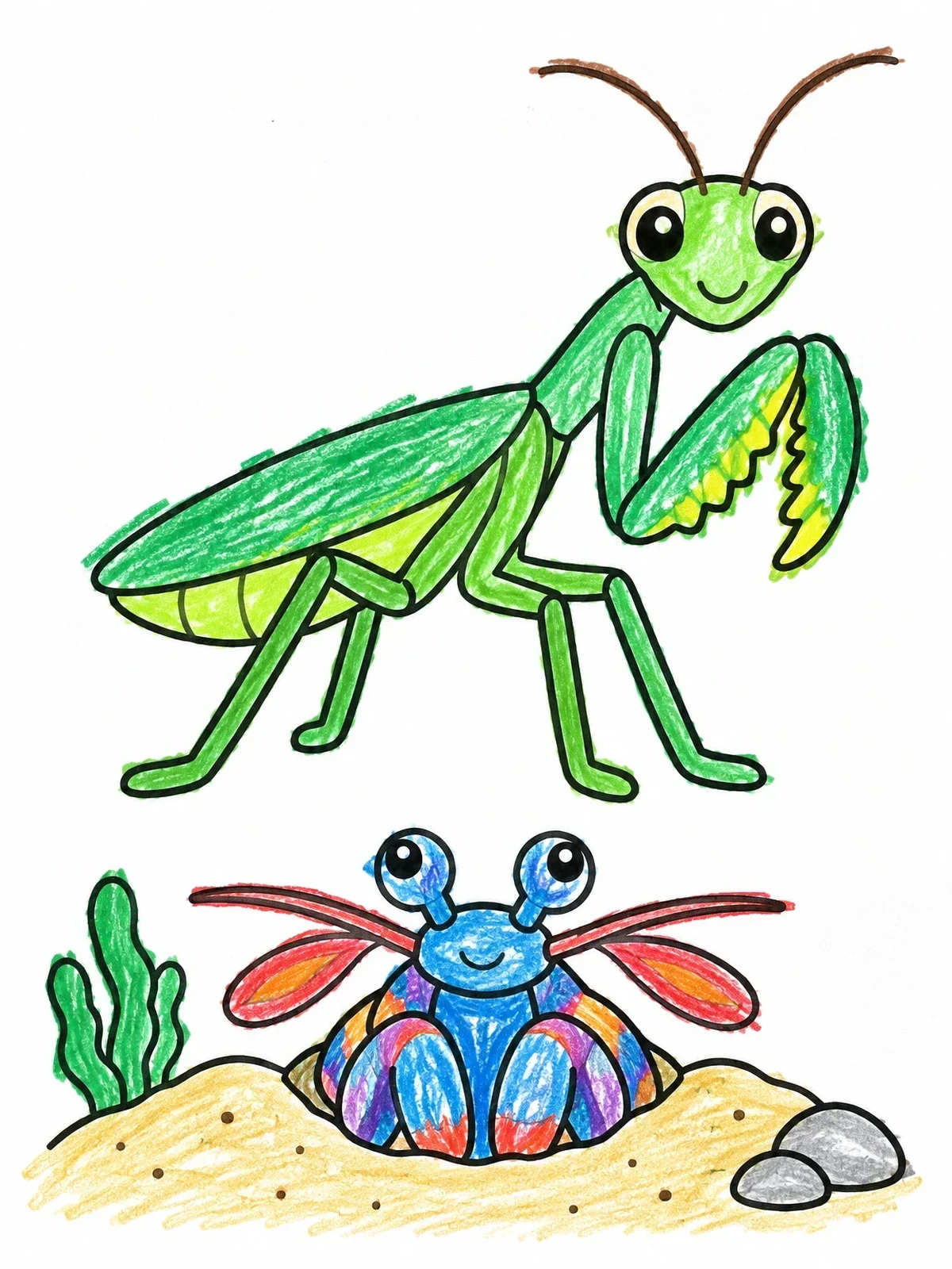 Colored example of the Praying Mantis And Mantis Shrimp coloring page