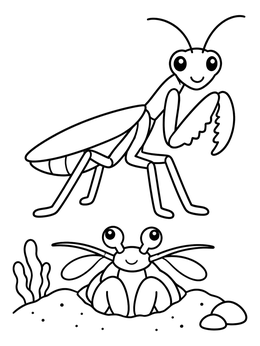 Free printable Praying Mantis And Mantis Shrimp coloring page