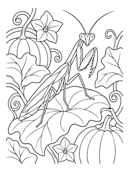 Free printable Praying Mantis In The Pumpkin Patch coloring page
