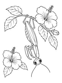Free printable Praying Mantis On Hibiscus Branch coloring page