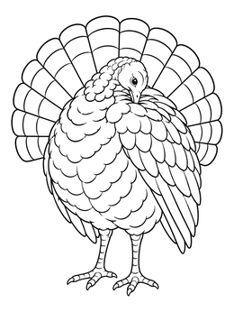 A detailed turkey coloring page featuring a proud bird preening its feathers with an open tail fan.