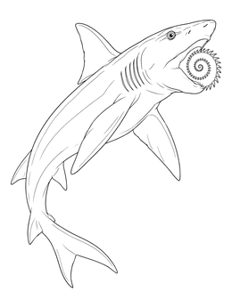Detailed helicoprion coloring page showing the prehistoric shark with its distinct tooth whorl.