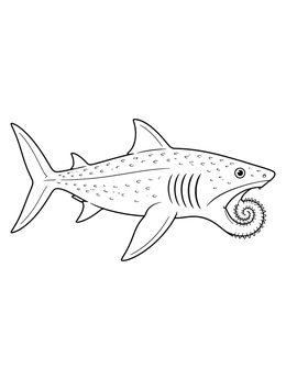 Ancient shark illustration on a helicoprion coloring page with its iconic tooth whorl.