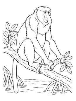 A detailed proboscis monkey coloring page resting on a tree branch above water.
