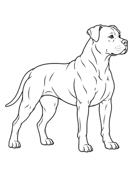 Free printable Proud Standing Pitbull Terrier coloring page