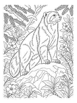Detailed wolverine coloring page featuring the wild animal perched on a snowy rock surrounded by plants.