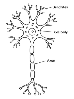 Educational psychology coloring page displaying a labeled diagram of a multipolar neuron cell.
