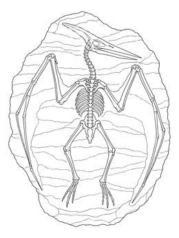 A detailed pterodactyl coloring page showing a fossilized skeleton embedded in stone.