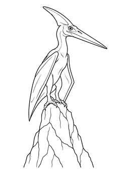 A detailed pterodactyl coloring page showing the prehistoric reptile perched on a jagged rock.