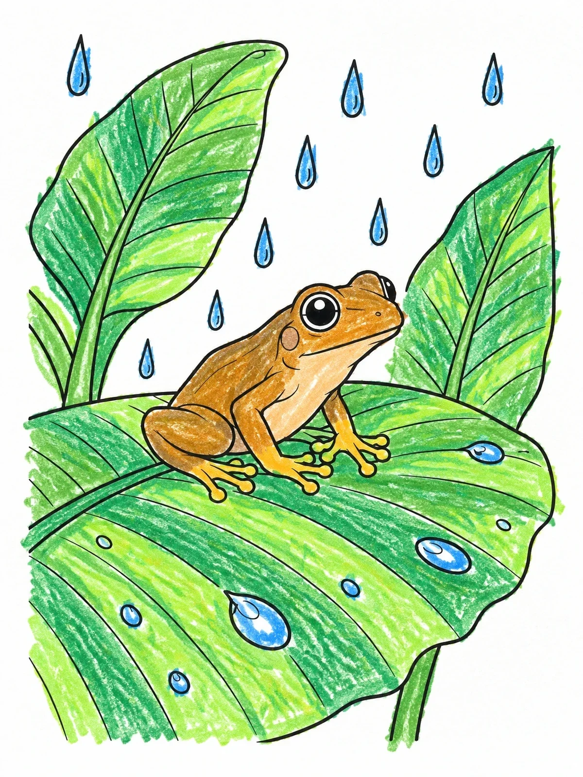Colored example of the Coquí Frog On Raindrop Leaf coloring page