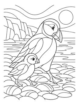 Free printable Puffins On A Pebble Beach coloring page