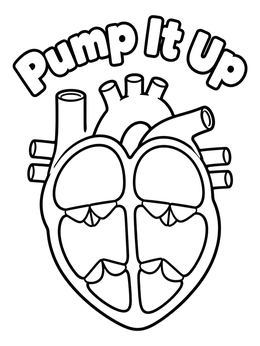 Free printable Pump It Up Anatomical Heart coloring page