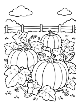 A pumpkin coloring page showing ripe pumpkins and blossoms in a patch.